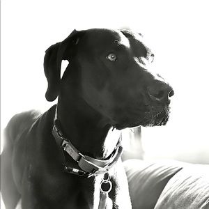 Meet your Posher, Brent